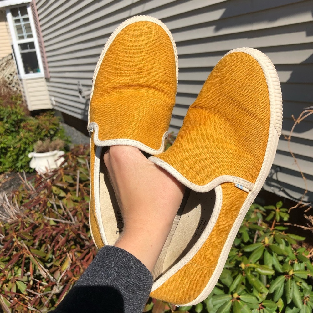 Yellow Toms